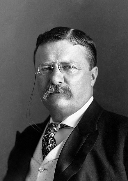 Theodore Roosevelt Jr.